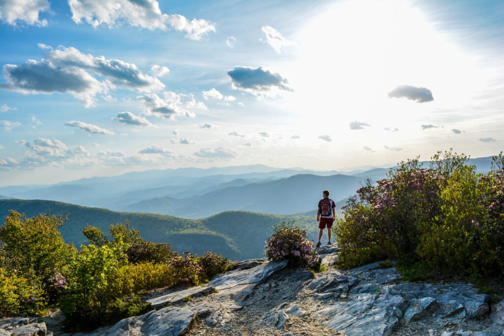Find The Best Trade Schools In North Carolina