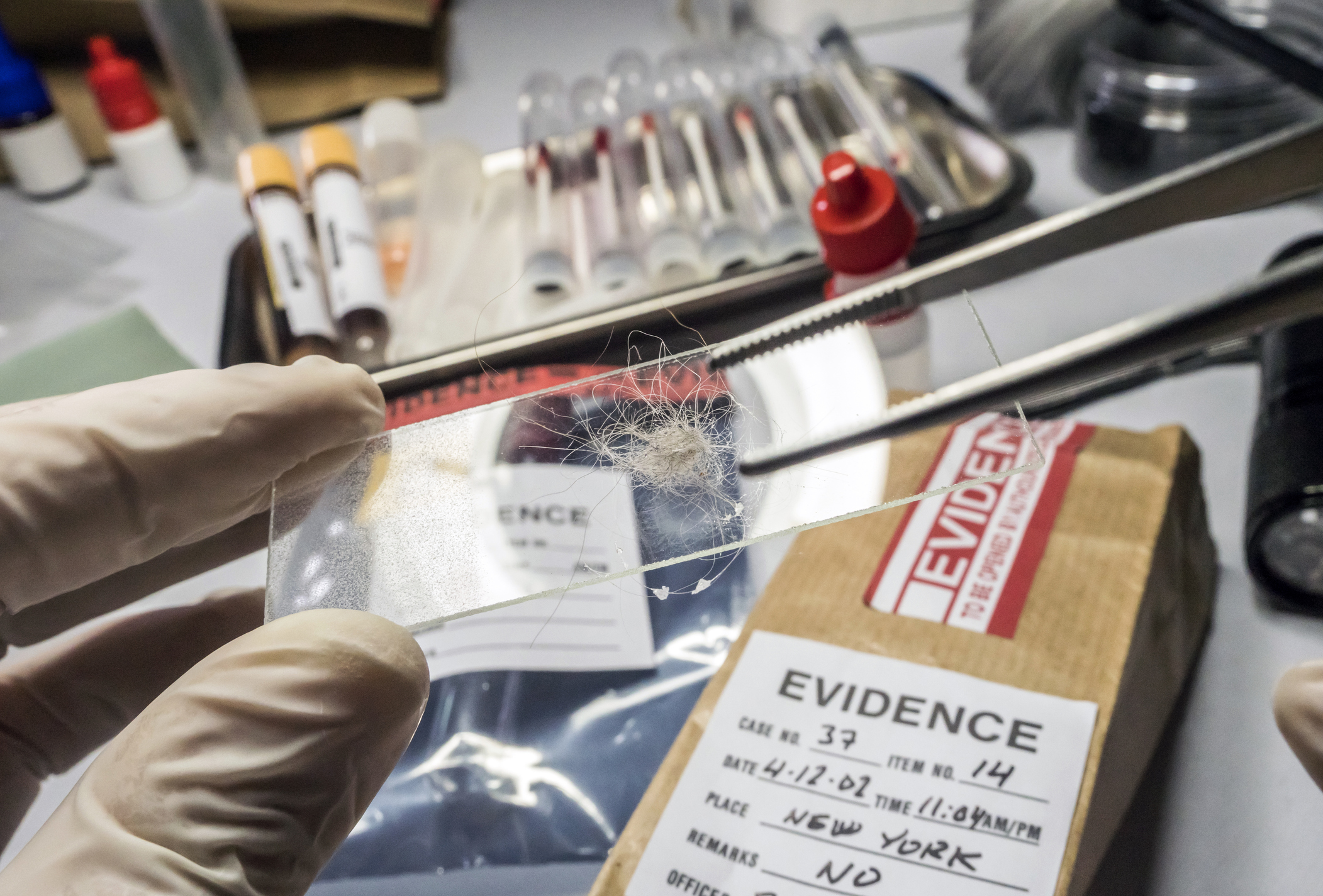 Online Master&#8217;s Programs in Forensic Science